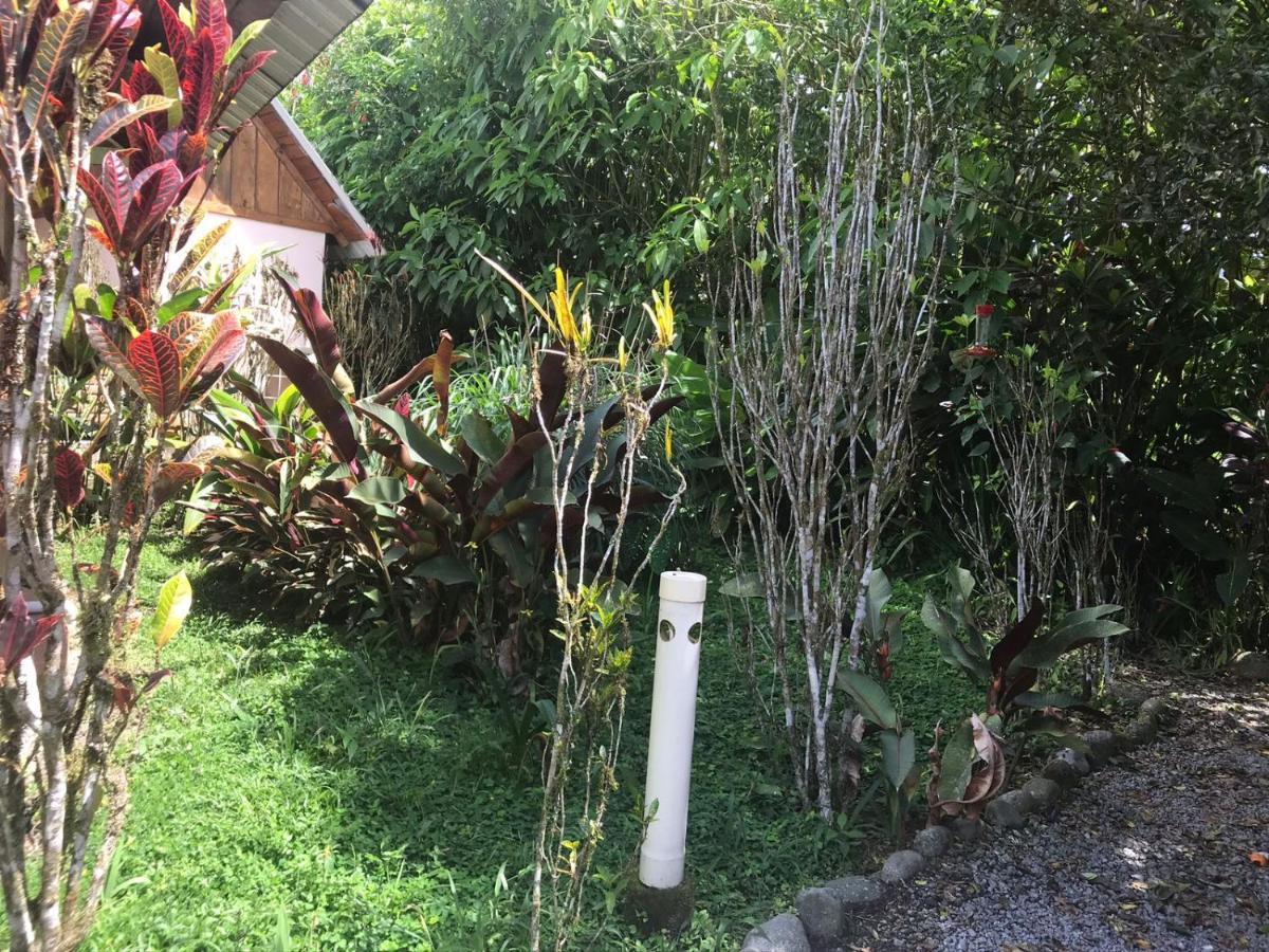 Hosteria Los Cedros De ميندو المظهر الخارجي الصورة