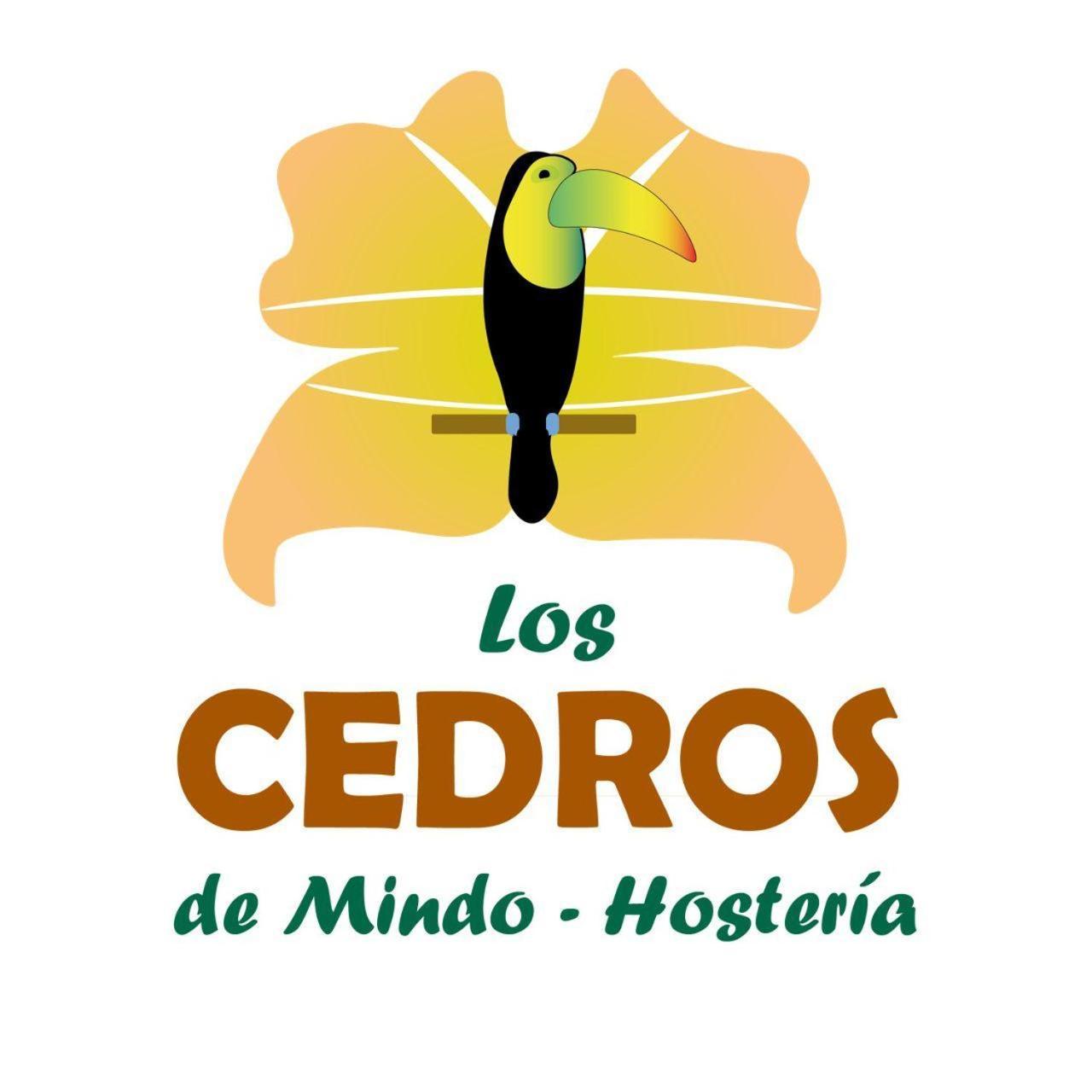 Hosteria Los Cedros De ميندو المظهر الخارجي الصورة